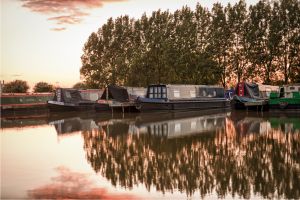 Narrowboats moored stern on. There are trees behind, and the picture is all reflected in the canal.