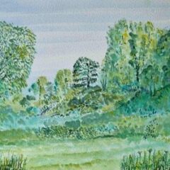 A watercolour of a beautiful green landscapr of grass, trees and bushes.